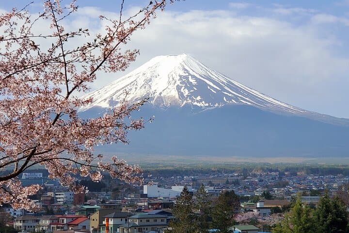 2 Days - 1.Tokyo/2.Mt. Fuji and Hakone Private Tour from Tokyo — photo 1