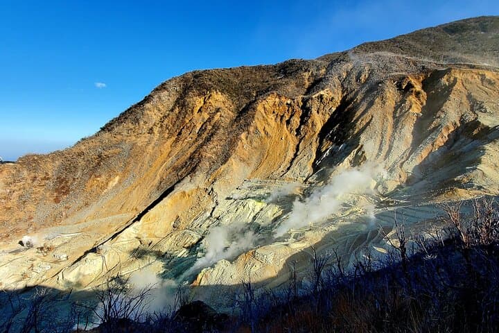 2 Days - 1.Tokyo/2.Mt. Fuji and Hakone Private Tour from Tokyo — photo 13