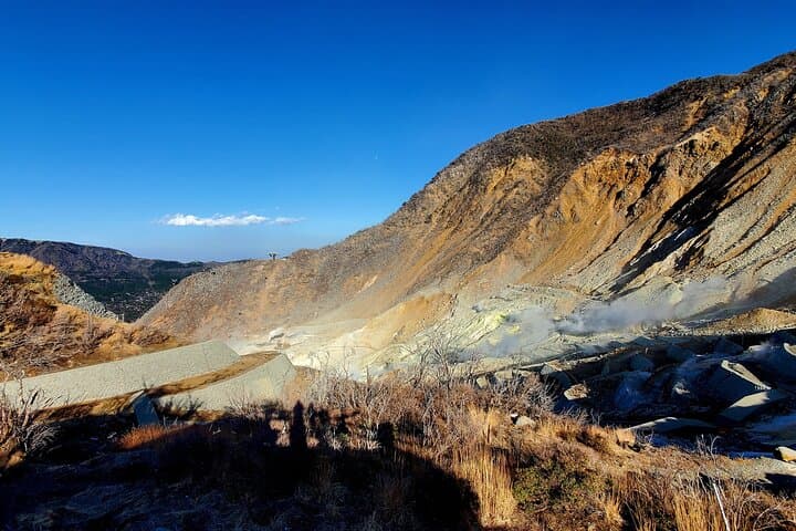 2 Days - 1.Tokyo/2.Mt. Fuji and Hakone Private Tour from Tokyo — photo 11
