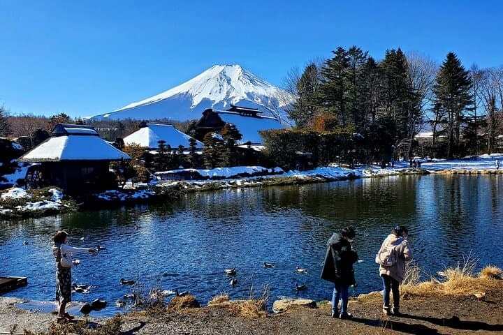 2 Days - 1.Tokyo/2.Mt. Fuji and Hakone Private Tour from Tokyo — photo 18