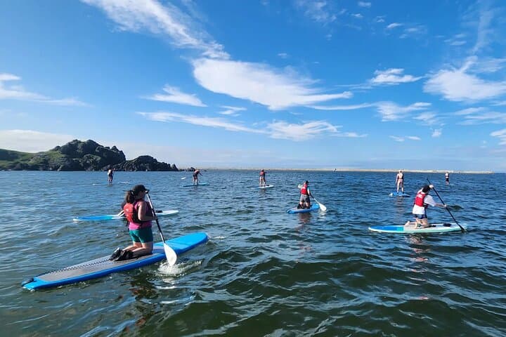 Michinoku Coastal Trail to Miyako SUP with Lunch