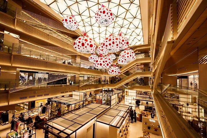 Private Car Tour for Tokyo Shopping — photo 3