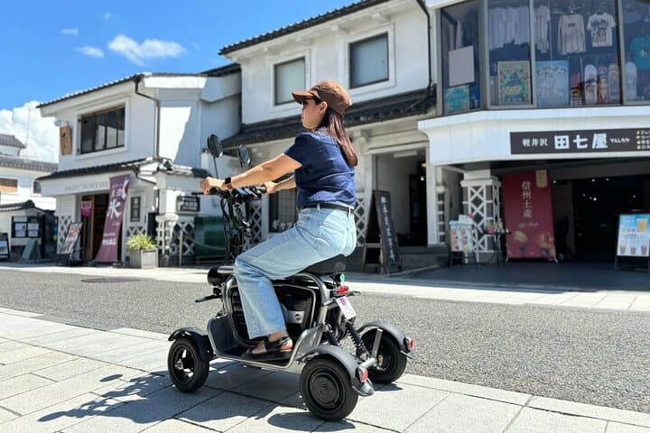 E-Kart Without Driver's License Can be driven on Public roads — photo 4
