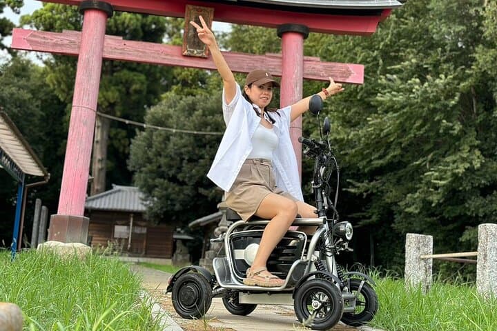 E-Kart Without Driver's License Can be driven on Public roads — photo 7