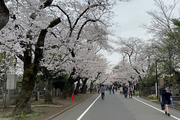 Tokyo : Yanaka and Nezu-Old Traditional Town Cultural Experience — photo 12