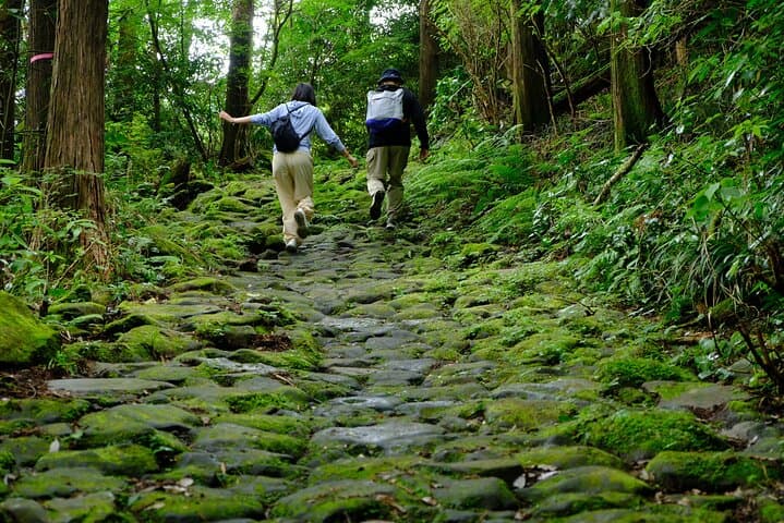 Hike Japan Heritage Hakone Hachiri with certified mountain guide — photo 5