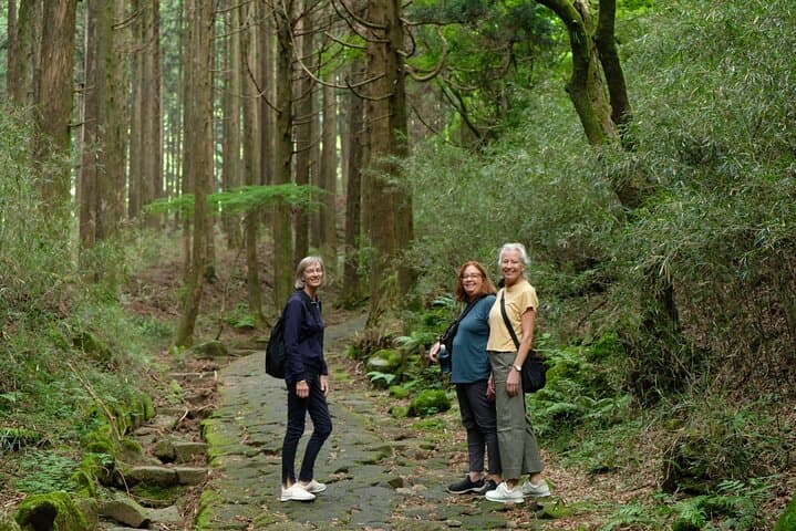 Hike Japan Heritage Hakone Hachiri with certified mountain guide — photo 12