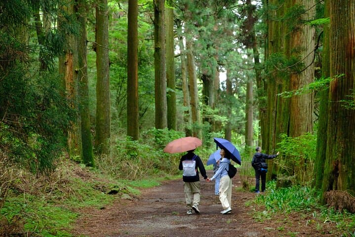 Hike Japan Heritage Hakone Hachiri with certified mountain guide — photo 14