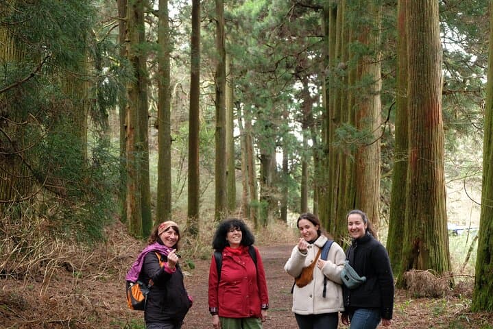 Hike Japan Heritage Hakone Hachiri with certified mountain guide — photo 15