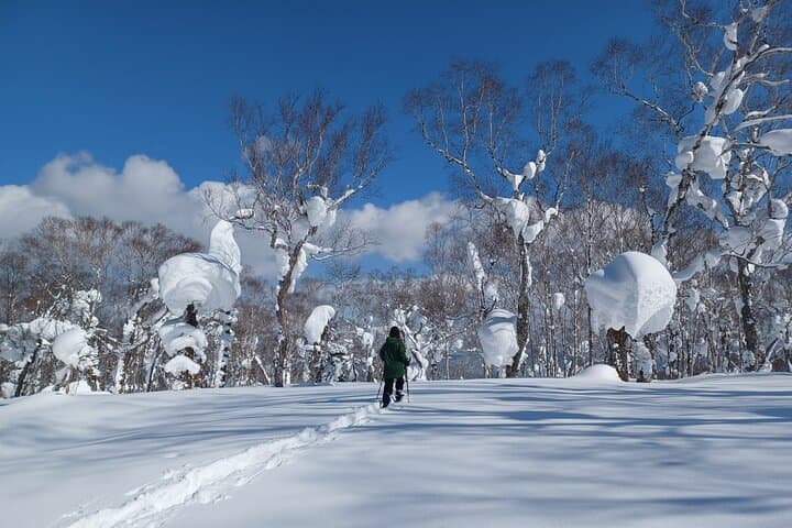 Snowshoe Hike Tour from Sapporo include hotel p/up & drop off — photo 5