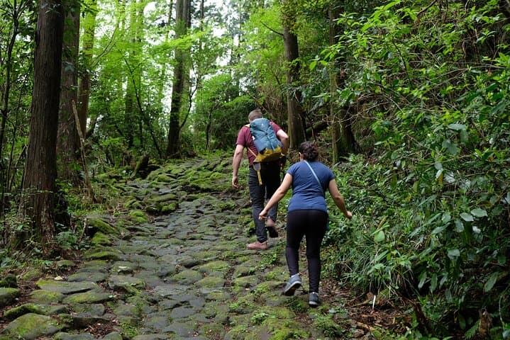 Hike Japan Heritage Hakone Hachiri (Half Day) — photo 8