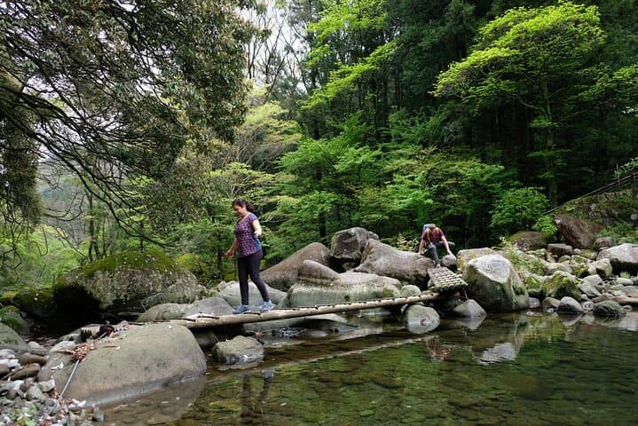 Hike Japan Heritage Hakone Hachiri (Half Day) — photo 2