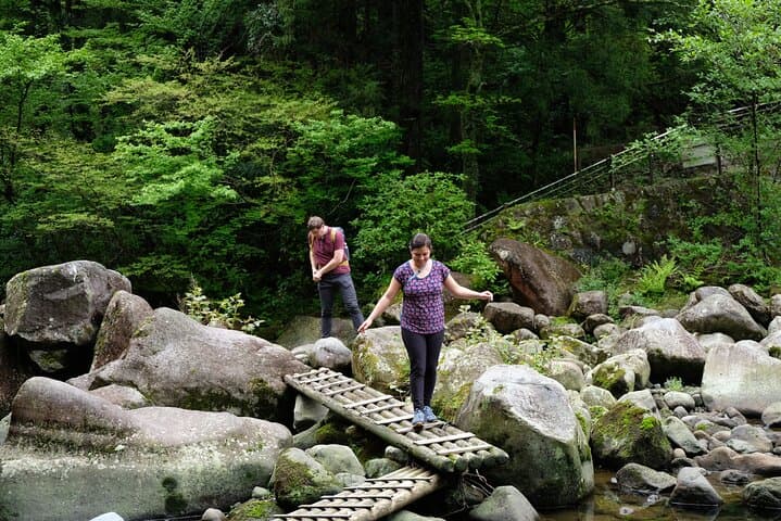 Hike Japan Heritage Hakone Hachiri (Half Day) — photo 7
