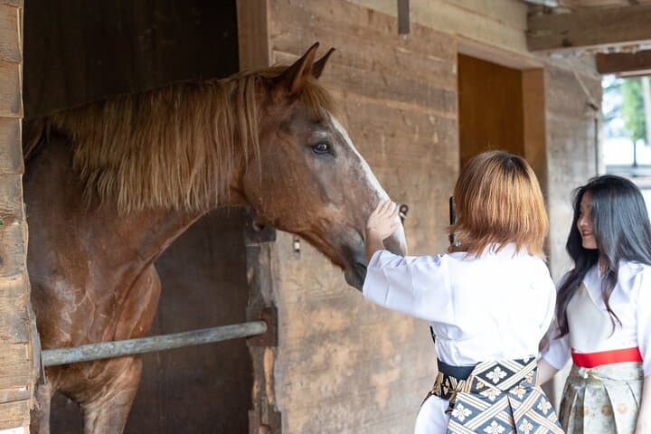 Private Horse Interaction Experience near Mt. Fuji — photo 4