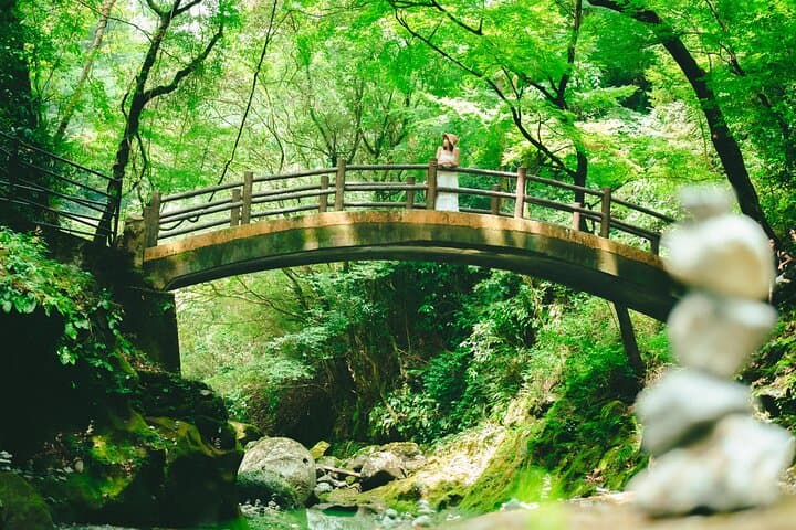 From Kumamoto : Mt.Aso and Takachiho All-inclusive Private Tour — photo 11