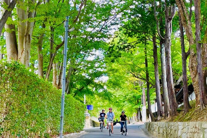 Pedal Adventure Kyoto's iconic landmarks on an e-bike tour — photo 3