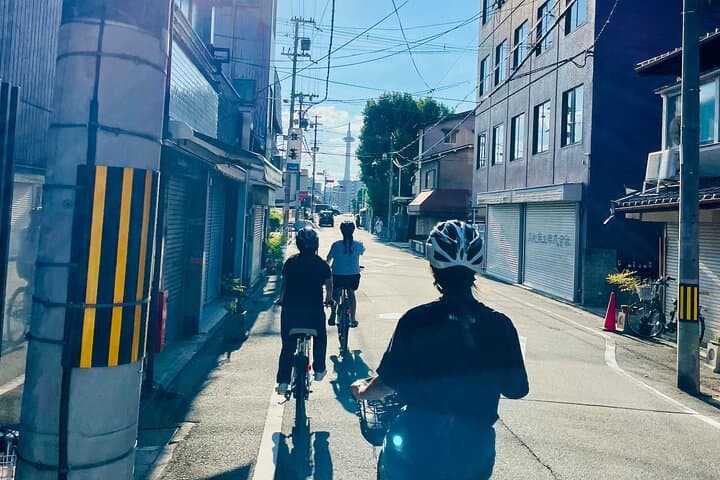 Pedal Adventure Kyoto's iconic landmarks on an e-bike tour — photo 19