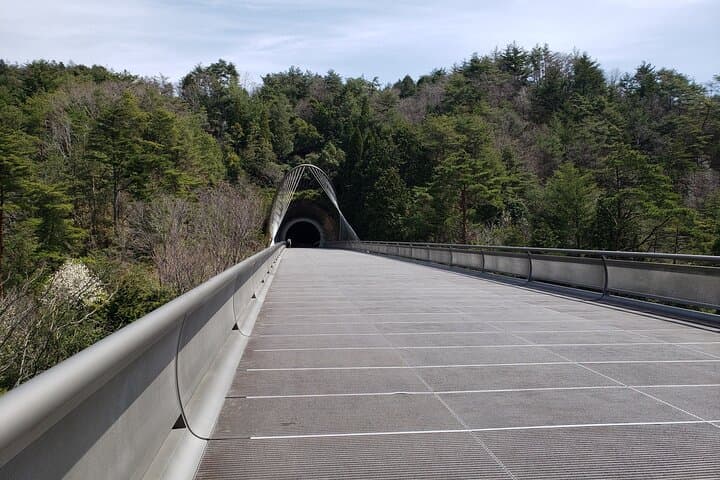 Day Trip MIHO Museum and Shigaraki from Kyoto by Private Car — photo 5