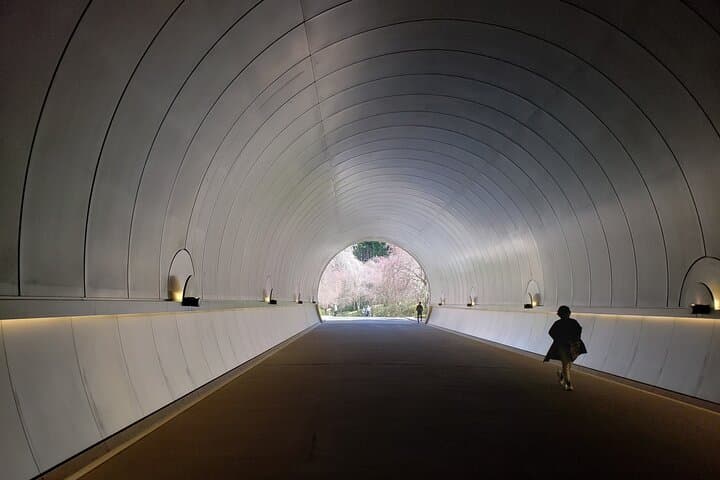 Day Trip MIHO Museum and Shigaraki from Kyoto by Private Car — photo 3