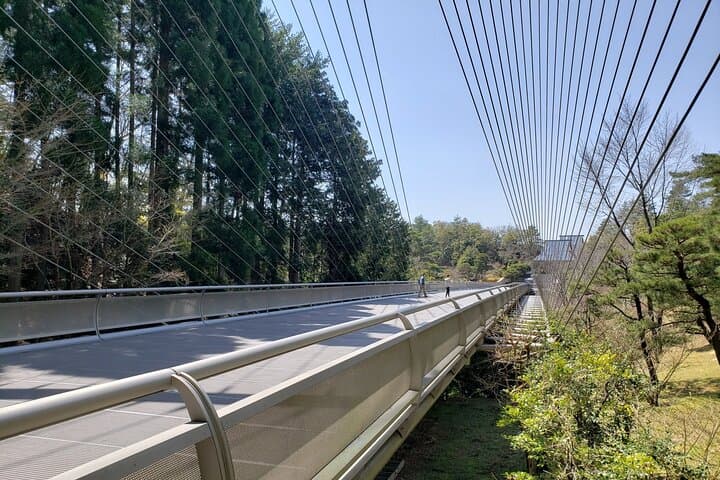 Day Trip MIHO Museum and Shigaraki from Kyoto by Private Car — photo 4