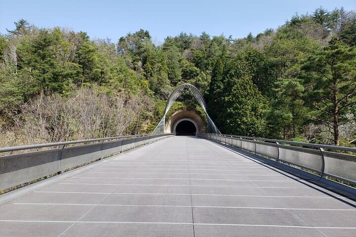 Day Trip MIHO Museum and Shigaraki from Kyoto by Private Car — photo 6
