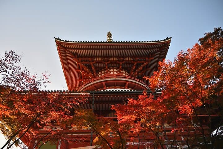 Narita Layover tour with National Licensed guide — photo 19