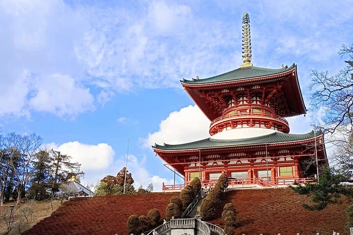 Narita Layover tour with National Licensed guide — photo 18