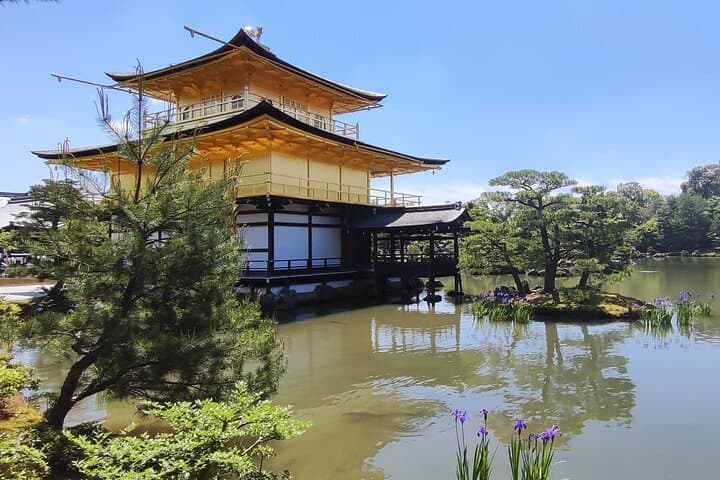Early Half Day to Kyoto Highlights — photo 4