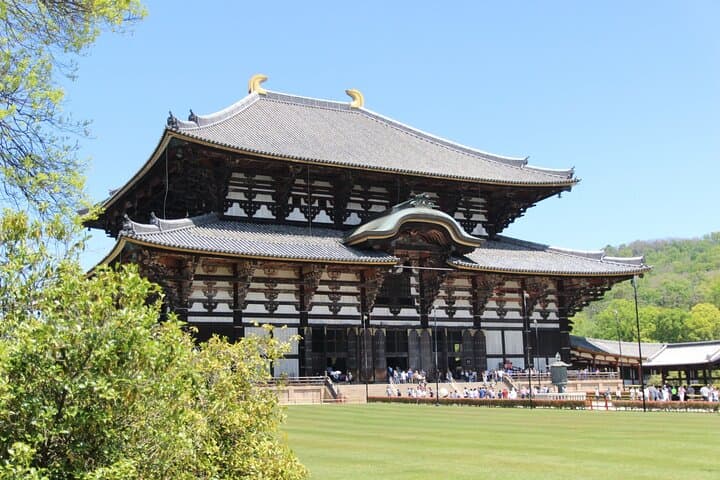 Nara Day Trip from Osaka with a Licensed Guide — photo 10