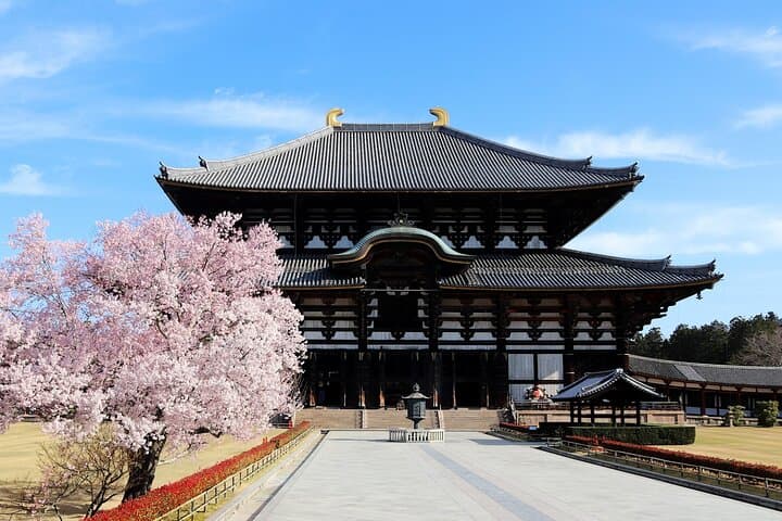 Nara Day Trip from Osaka with a Licensed Guide — photo 11