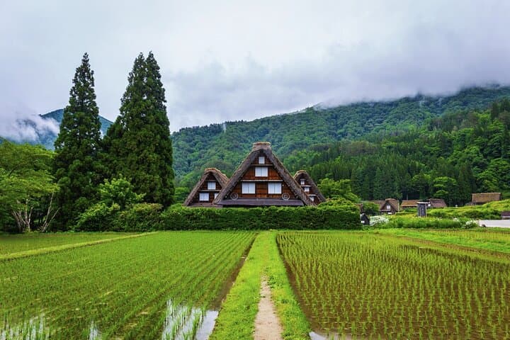 Shirakawago and Takayama 2 Days Tour from Nagoya — photo 5