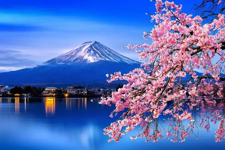 Mt. Fuji Tours with Kawaguchi Lake Ropeway View English Speaking — photo 4