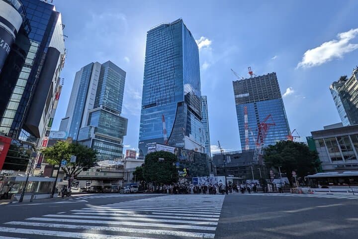All Inclusive Private "Neo Tokyo Tour" on a Luxury Car — photo 7