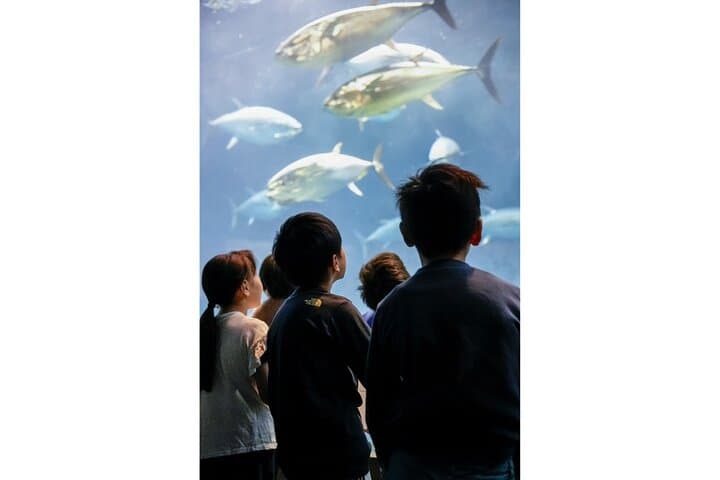 THE TOKYO PASS: Museums, Gardens & Cultural Attractions in Tokyo — photo 7
