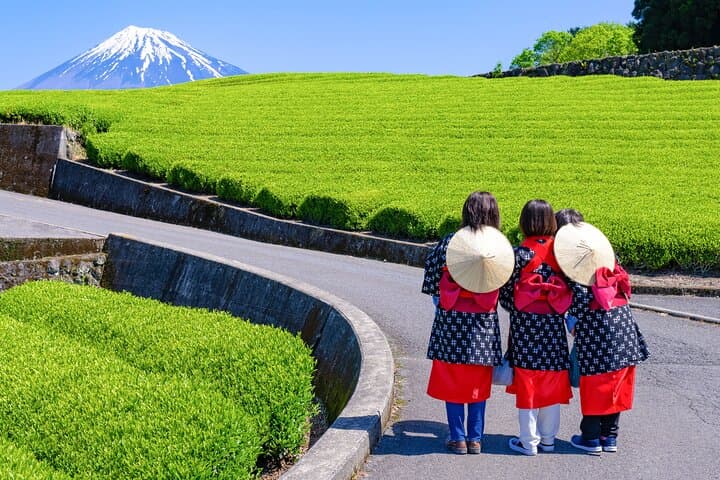 Mt. Fuji Highlight Photo Spots One Day Tour from Tokyo — photo 6