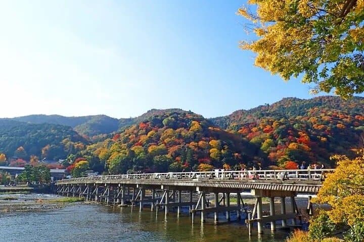 Kyoto & Nara Private Tour from Osaka Kyoto Hotel Pick-up — photo 11