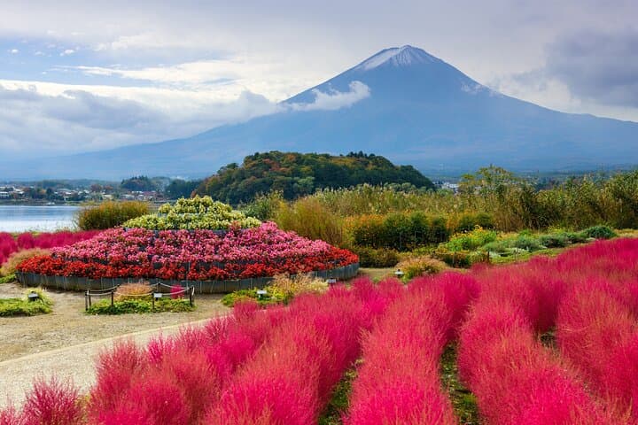 From Tokyo: Private Day Trip to Mount Fuji & Fuji Five lakes — photo 12