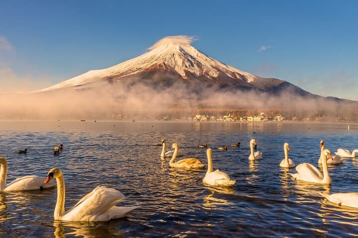 From Tokyo: Private Day Trip to Mount Fuji & Fuji Five lakes — photo 9