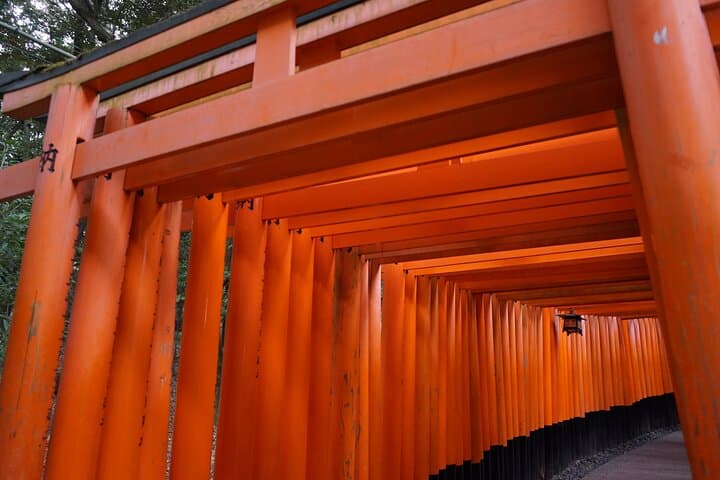 Kyoto Walking Tour at Fushimi Inari Shrine and Tofukuji Temple — photo 1