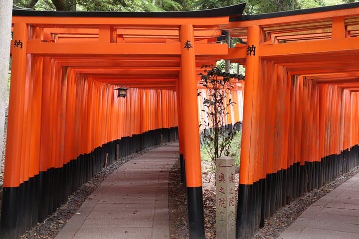 Kyoto Walking Tour at Fushimi Inari Shrine and Tofukuji Temple — photo 4