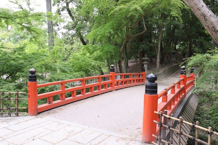 Kyoto Walking Tour at Fushimi Inari Shrine and Tofukuji Temple — photo 8