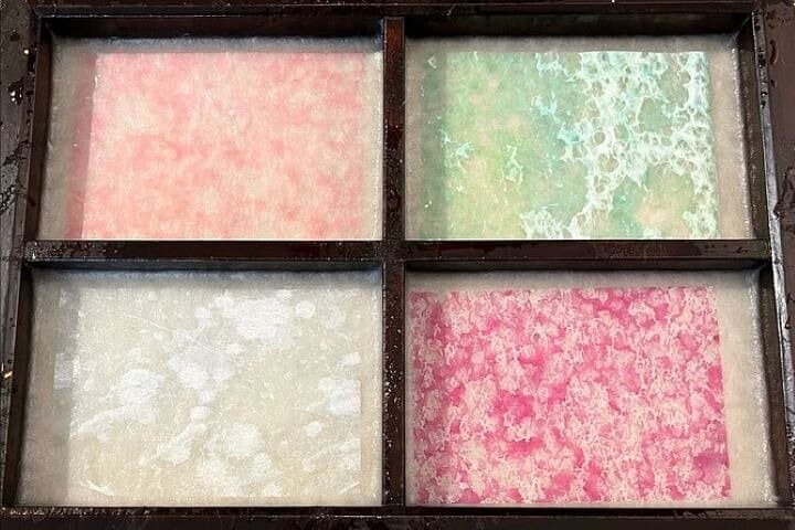 Tokyo 5hr Private Guided Tour & Washi Papermaking — photo 3