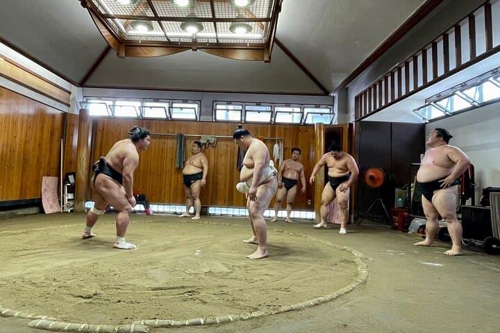 Sumo Practice Viewing Guided Tour and Photo with Sumo Wrestlers — photo 10