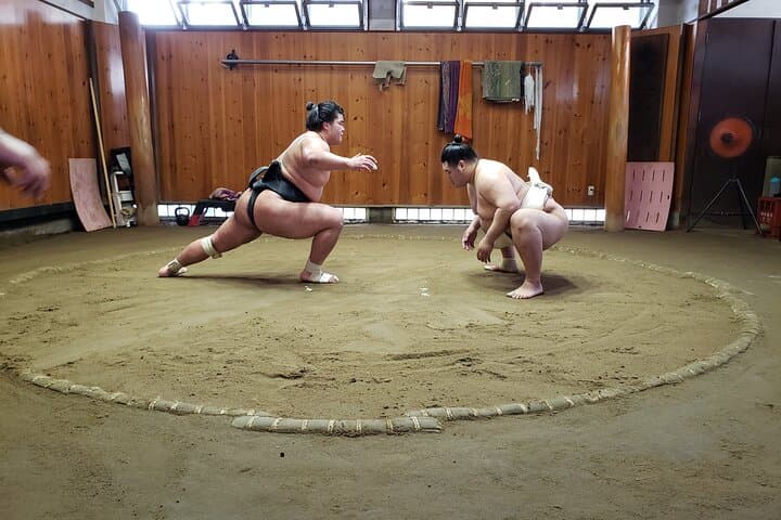 Sumo Practice Viewing Guided Tour and Photo with Sumo Wrestlers — photo 4