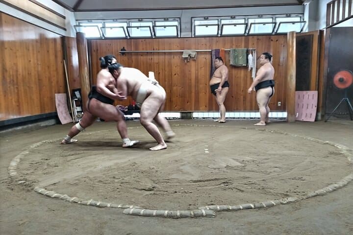 Sumo Practice Viewing Guided Tour and Photo with Sumo Wrestlers — photo 8