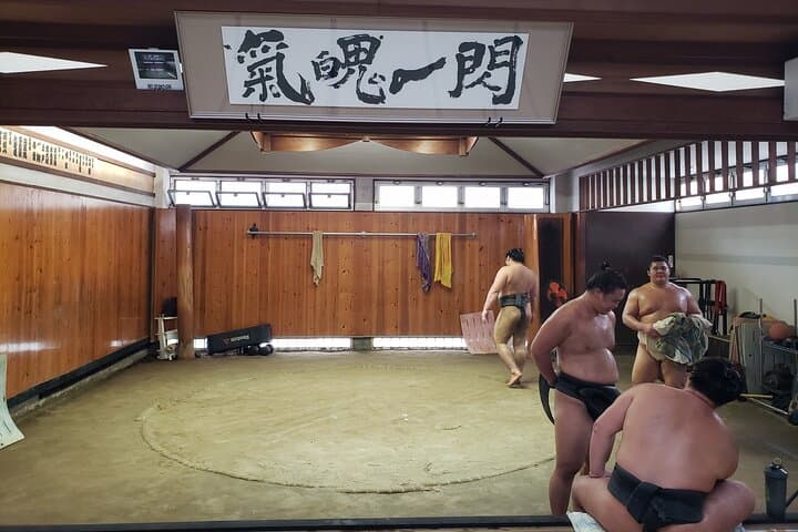 Sumo Practice Viewing Guided Tour and Photo with Sumo Wrestlers — photo 11