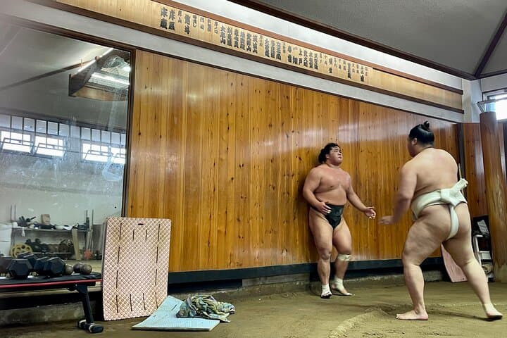 Sumo Practice Viewing Guided Tour and Photo with Sumo Wrestlers — photo 12