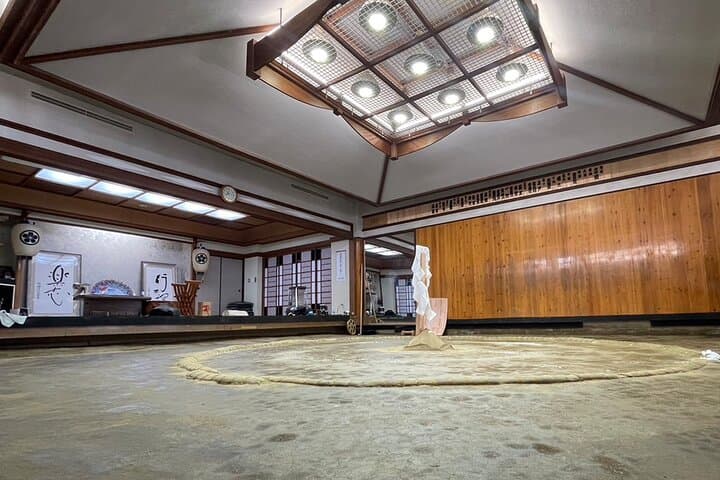 Sumo Practice Viewing Guided Tour and Photo with Sumo Wrestlers — photo 9