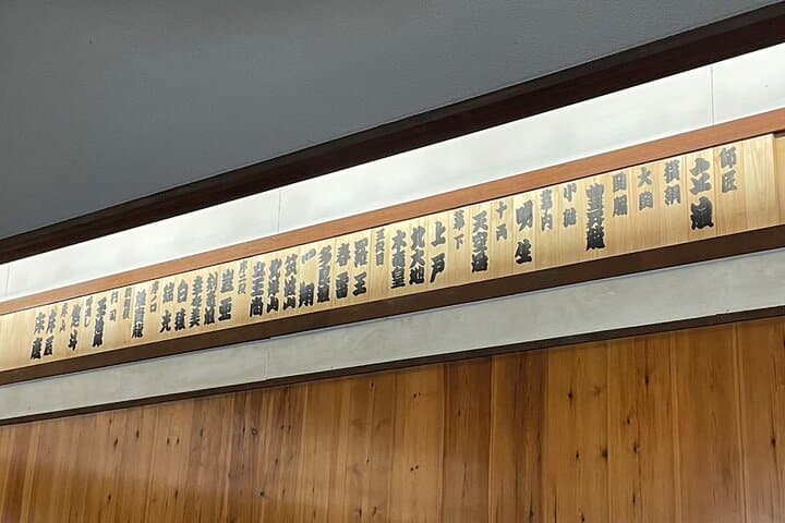 Sumo Practice Viewing Guided Tour and Photo with Sumo Wrestlers — photo 14