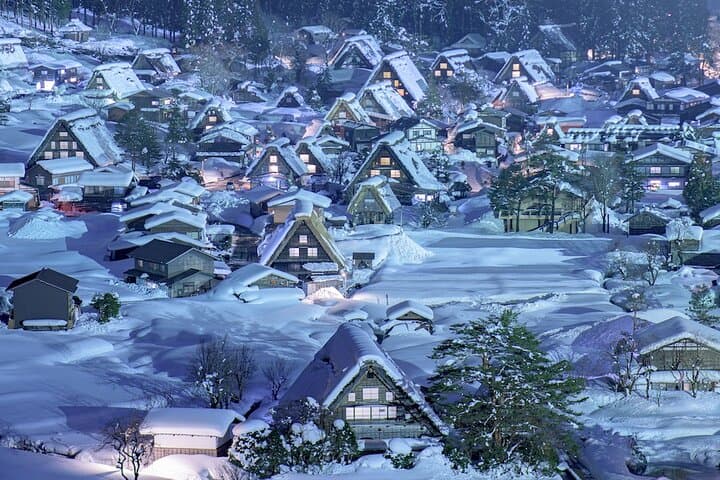 Explore Takayama and Shirakawa Tesla Tour with Accommodation — photo 3